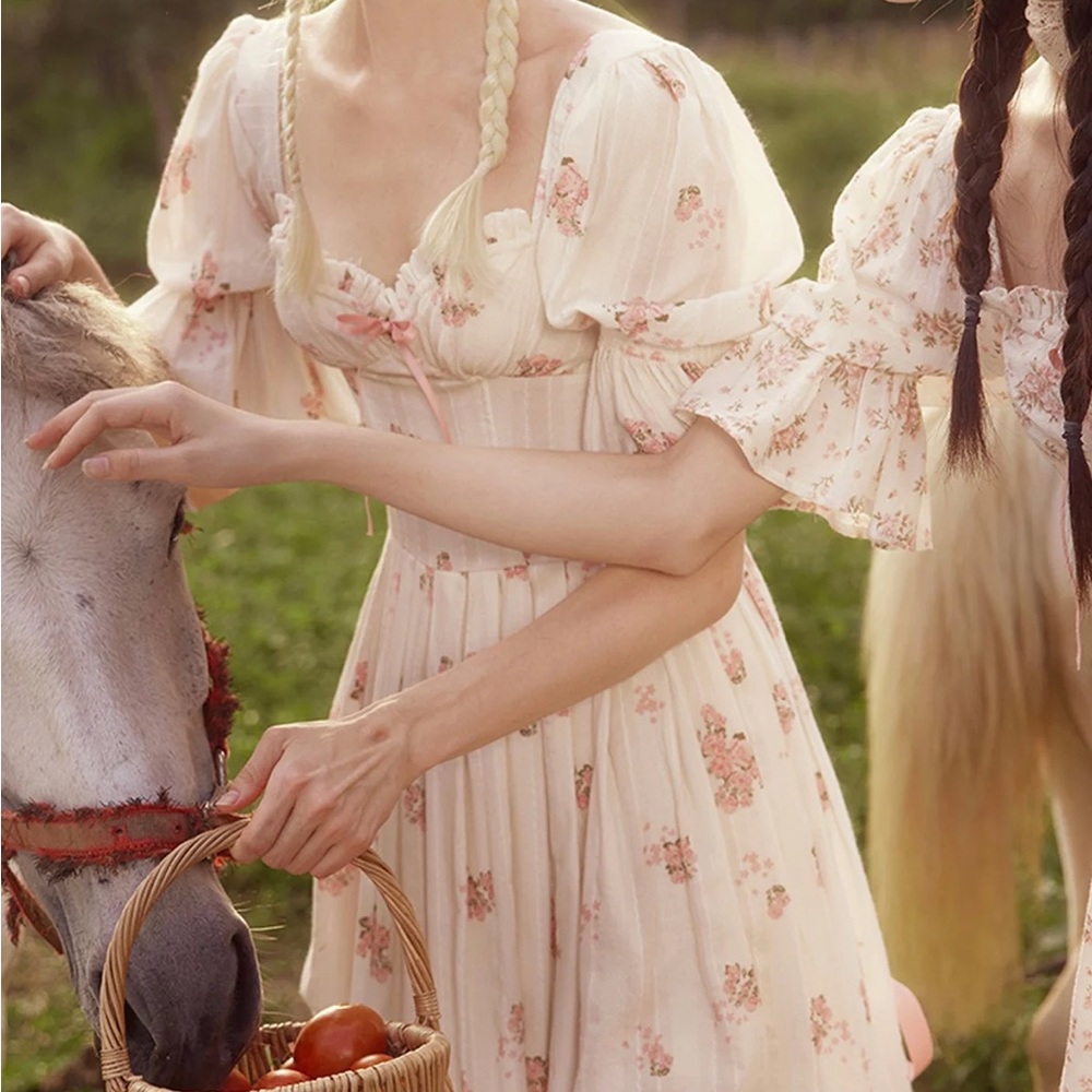 Lacemade Rose's Smile Corset Dress Ⅱ